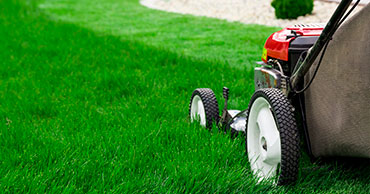 Mowing