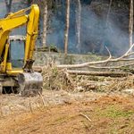 Land Clearing