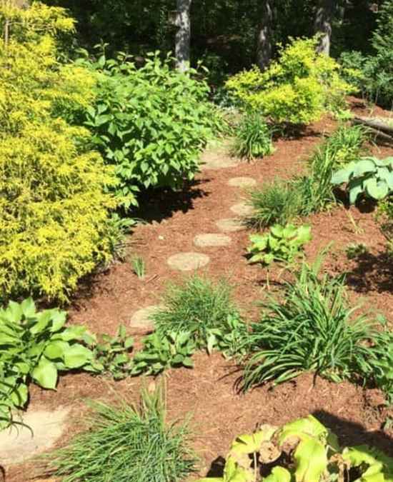 Find the Right Mitchell County, NC Landscaping Contractor for Your Needs