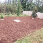 Landsaping Services