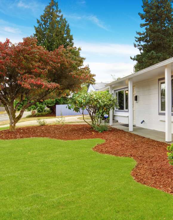 Get A Beautiful Landscaping | Transform Your Property Today