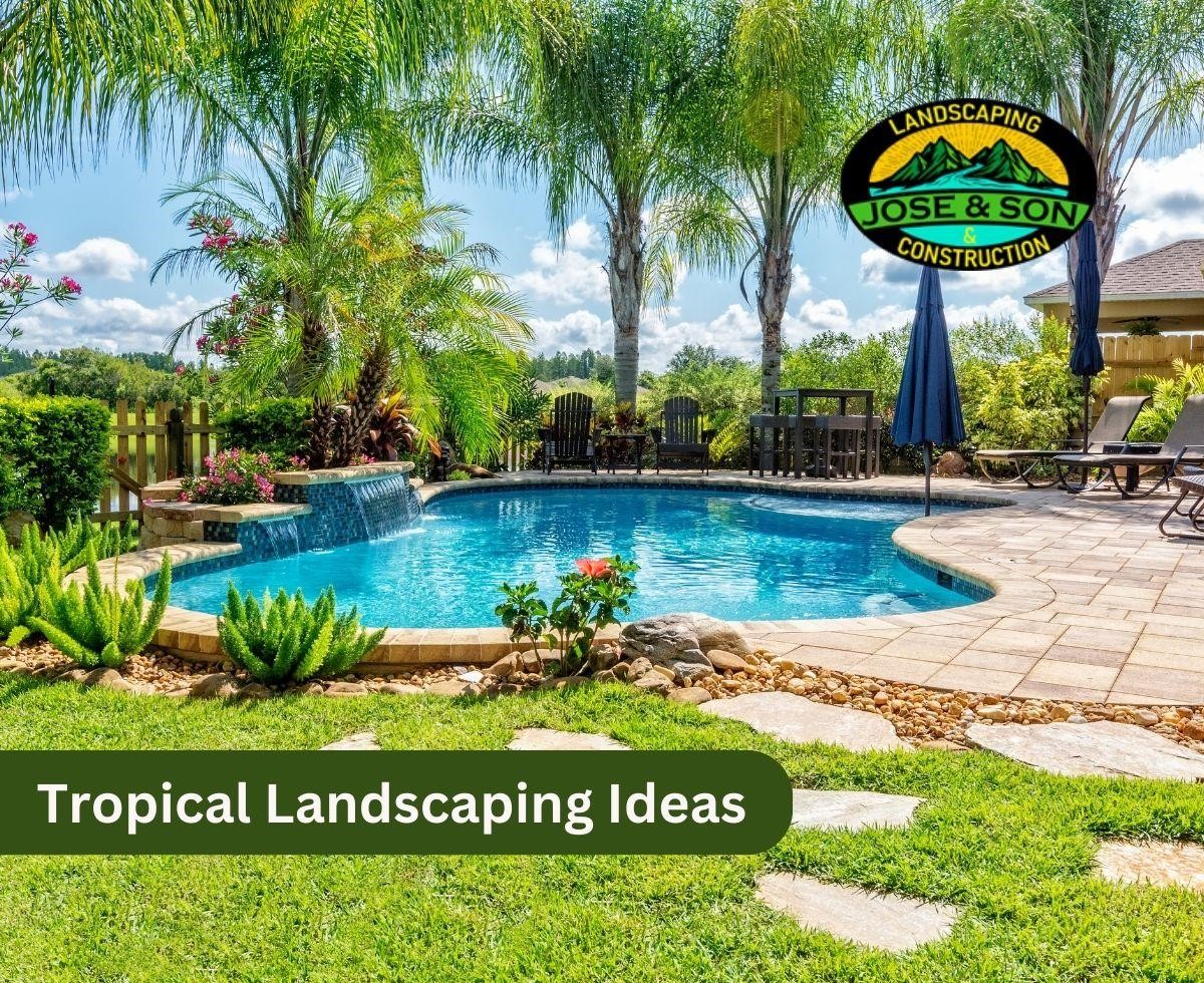 Turn Your Space into a Tropical Haven with Professional Assistance