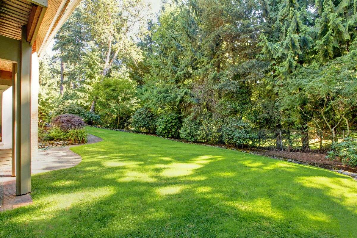 Guide to a vibrant lawn.