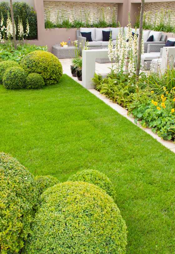 Shape Your Outdoor Paradise: Superior Landscaping Services