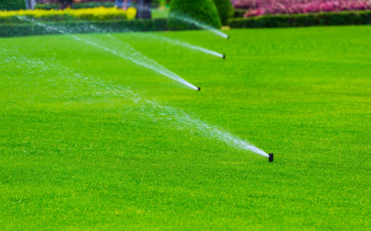 Professional Irrigation System Installation