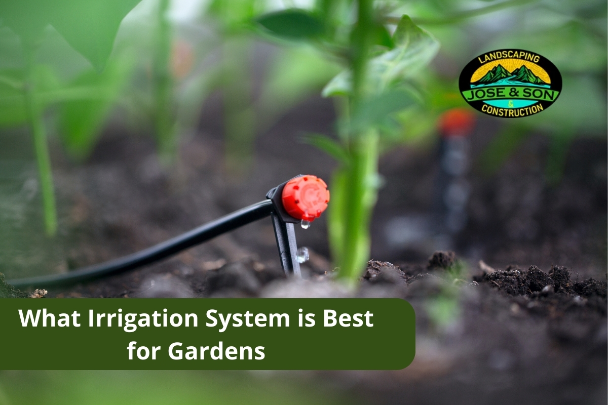 Drip irrigation system watering a vegetable garden