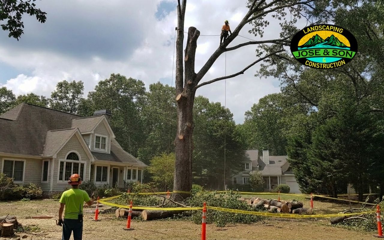 Large tree removal in Spruce Pine NC with safe planning near a home