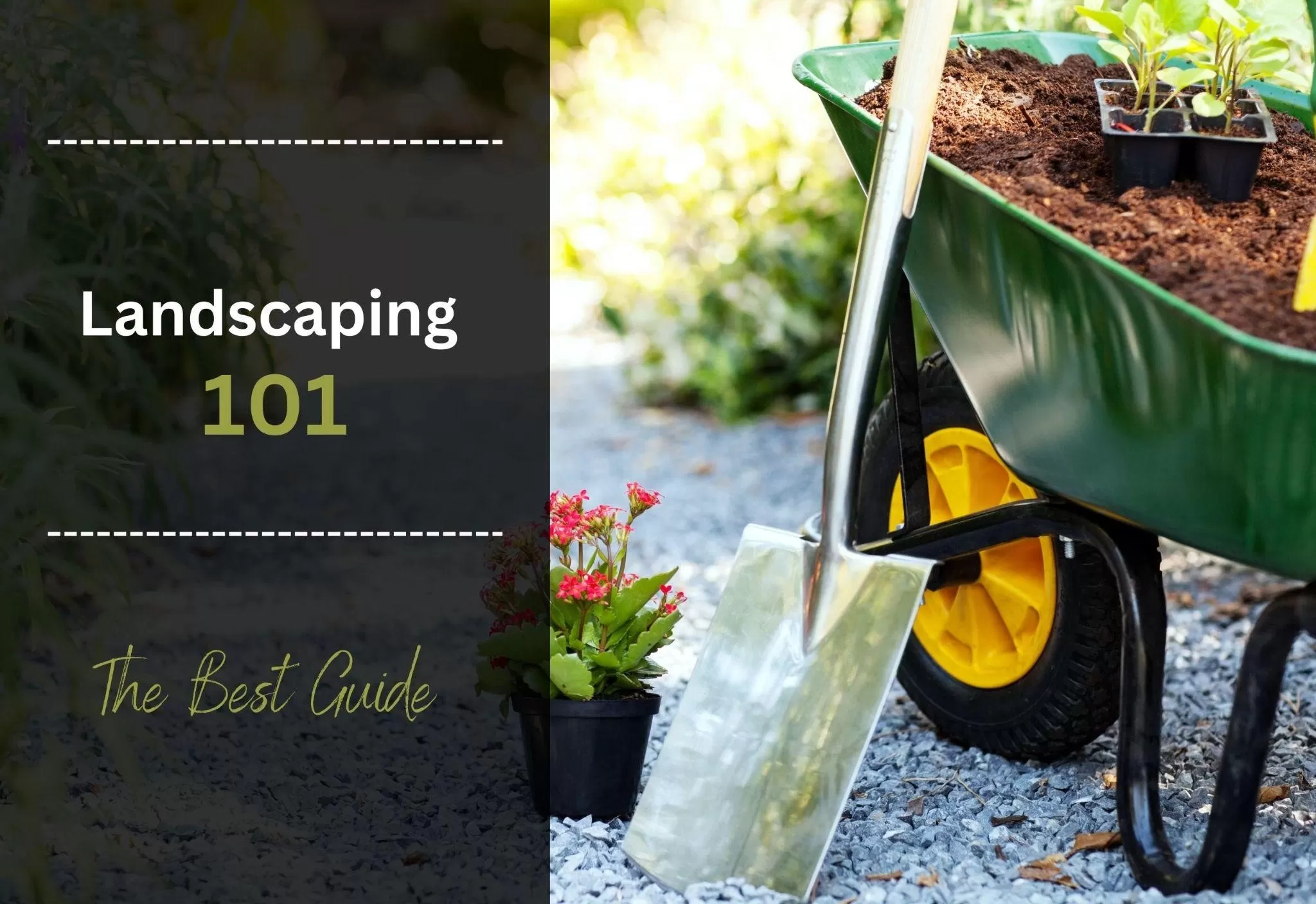Easy landscaping guide for beginners