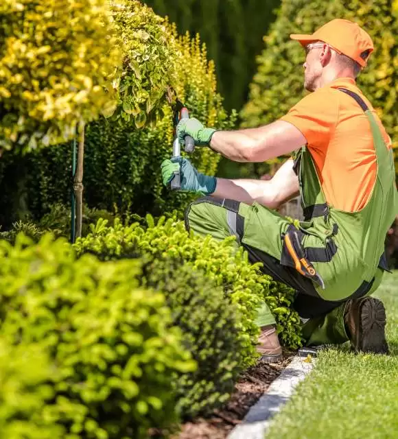 Upgrade Your Outdoor Space with a Landscaping Contractor