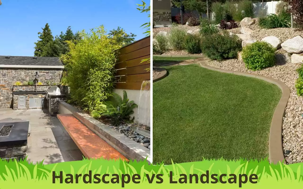 Hardscape vs Landscape: Unraveling the Essentials for Your Outdoor Space