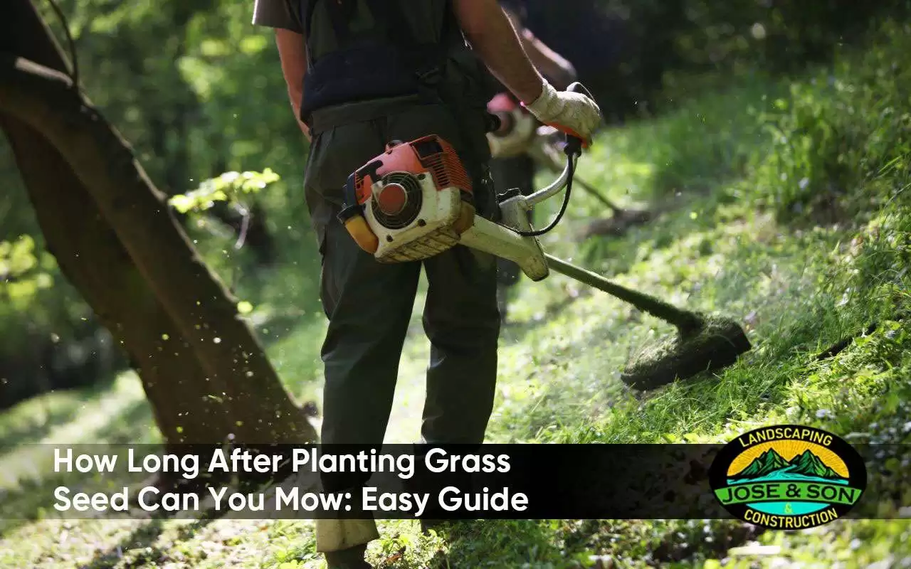 How Long After Planting Grass Seed Can I Mow?