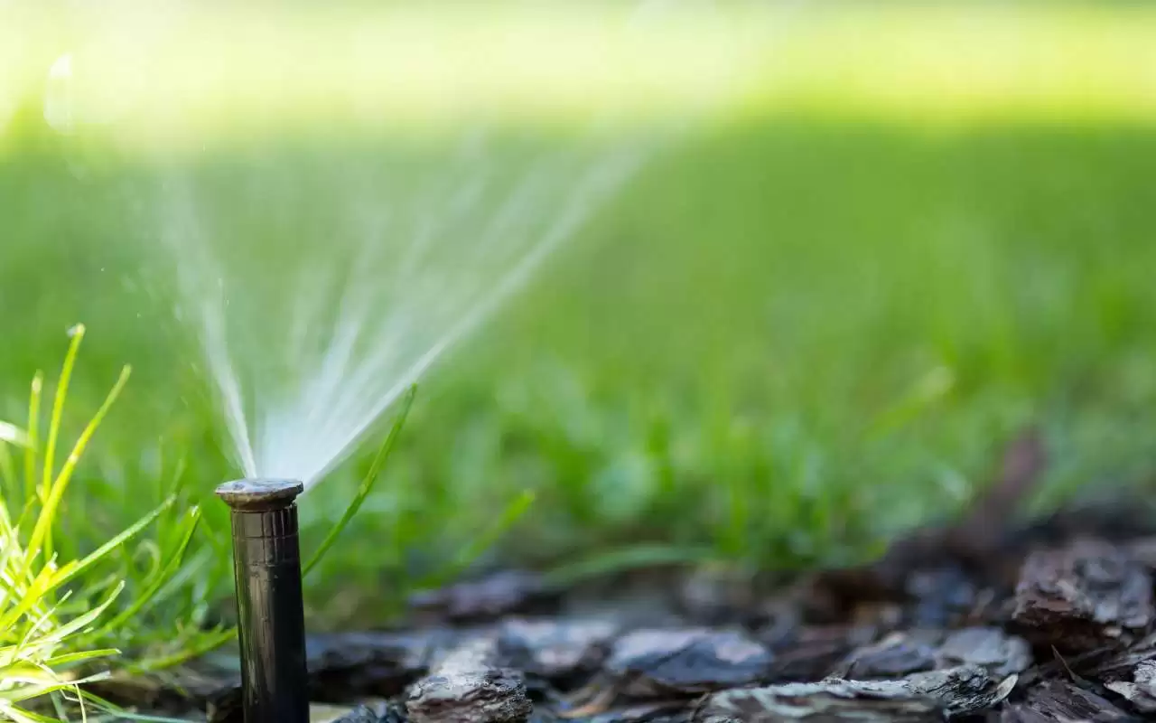 What is an Irrigation System: A Garden Guide